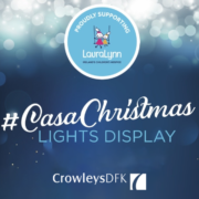 Christmas Light Display