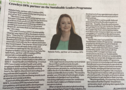Sustainable Leader