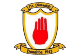 Transforming Financial Management at Na Piarsaigh GAA Club with Xero Accounting Software