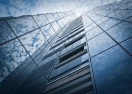 Role of the Company Secretary