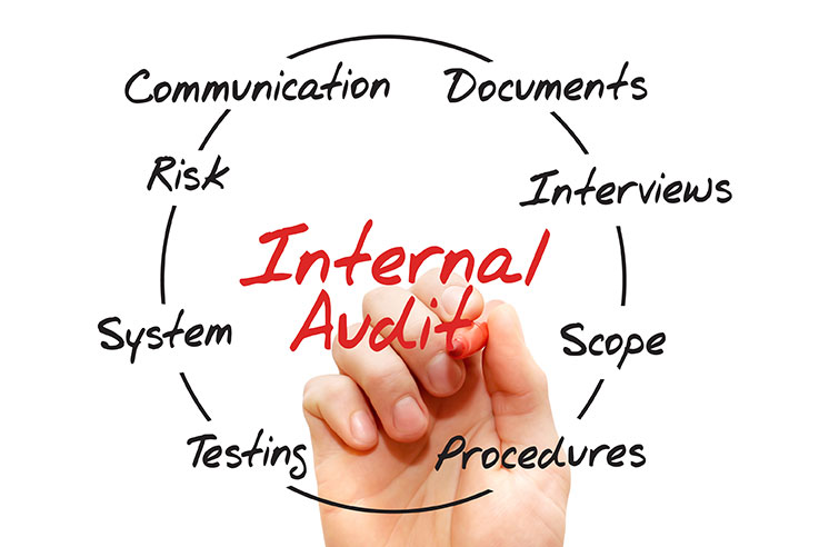 internal audit internal auditors crowleys dfk accountants auditors internal audit