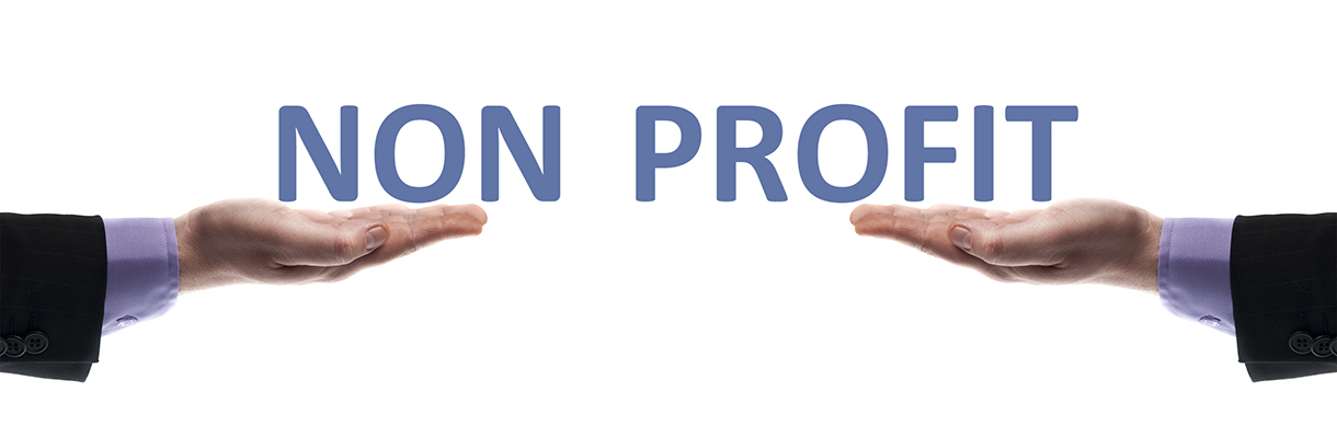 not for profit sector crowleys dfk chartered accountants