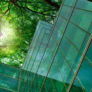 Preparing for Mandatory Sustainability Reporting Preparing for Mandatory Sustainability Reporting