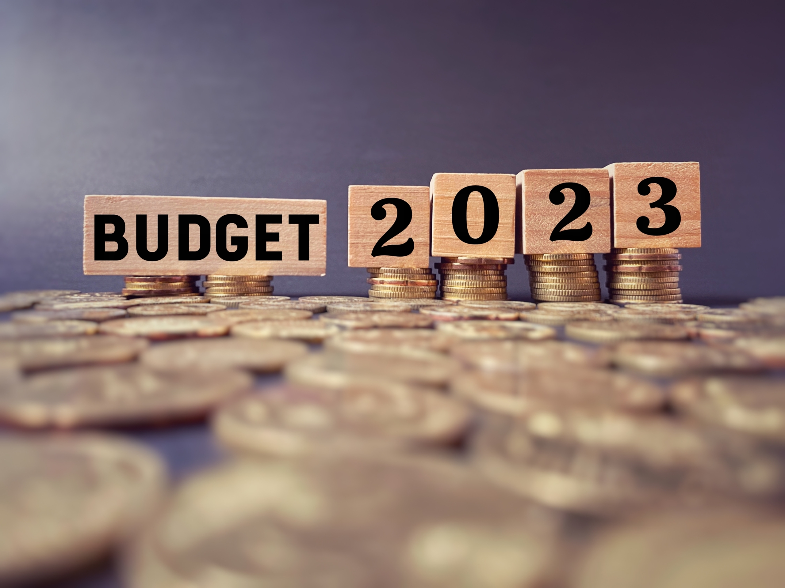 essay on budget 2023